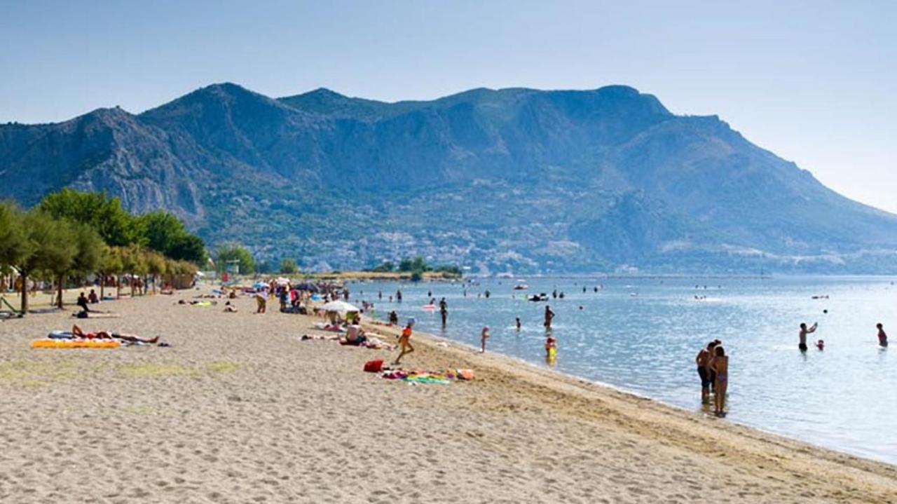 Beach Apartments "Bili Cvitak" Duće Extérieur photo